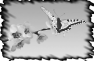 divers-2