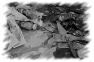 divers-37
