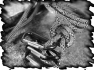escalade-4