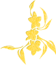 fleur-st-or24-11