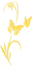 fleur-st-or24-2