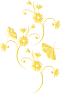 fleur-st-or24-20