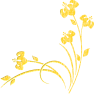 fleur-st-or24-21