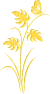 fleur-st-or24-29