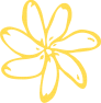 fleur-st-or24-33