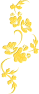 fleur-st-or24-7
