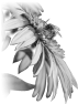fleur-103