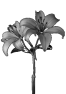 fleur-11