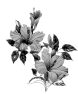 fleur-113