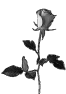 fleur-13