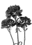 fleur-17
