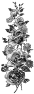 fleur-35