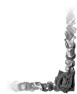 fleur-36