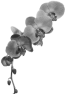 fleur-39