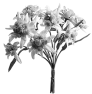fleur-40