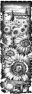 fleur-46