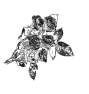 fleur-53