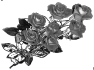 fleur-54