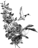 fleur-58