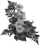 fleur-59