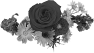 fleur-61