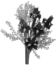 fleur-71