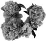 fleur-72