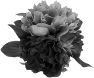 fleur-73