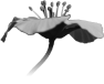 fleur-85