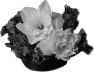 fleur-97
