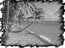mer-14