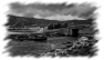 mer-19