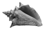 mer-39