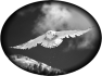 montagne-9
