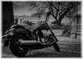 moto-29