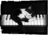 musique-autre-21