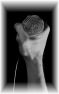 musique-autre-53