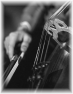 musique-corde-20