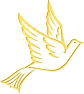 oiseau-st-or24-1