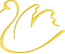 oiseau-st-or24-16