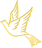 oiseau-st-or24-2