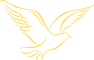 oiseau-st-or24-22