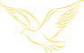 oiseau-st-or24-23