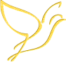 oiseau-st-or24-3