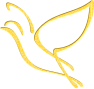 oiseau-st-or24-4