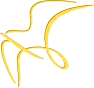 oiseau-st-or24-6