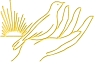oiseau-st-or24-7