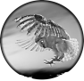 oiseau-21