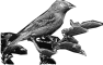 oiseau-25