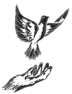 oiseau-27